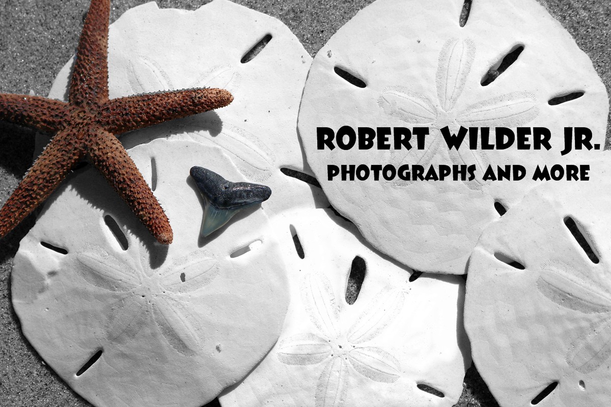 Robert Wilder Jr - Website